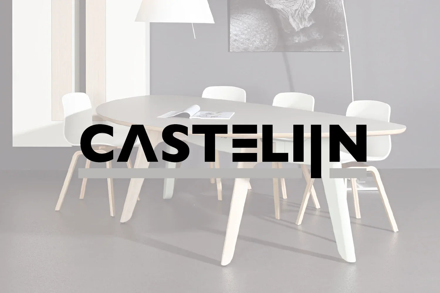 Castelijn
