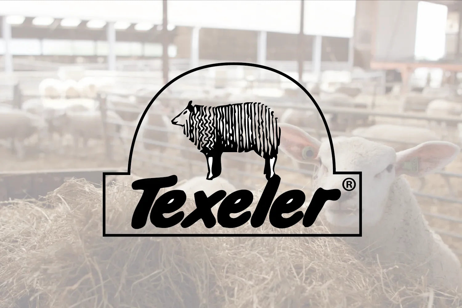 Texeler